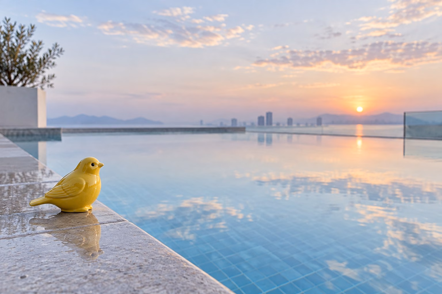 A small bright-yellow ceramic bird figurine perched on the stone edge of a still rooftop pool at dawn, an editorial still life.