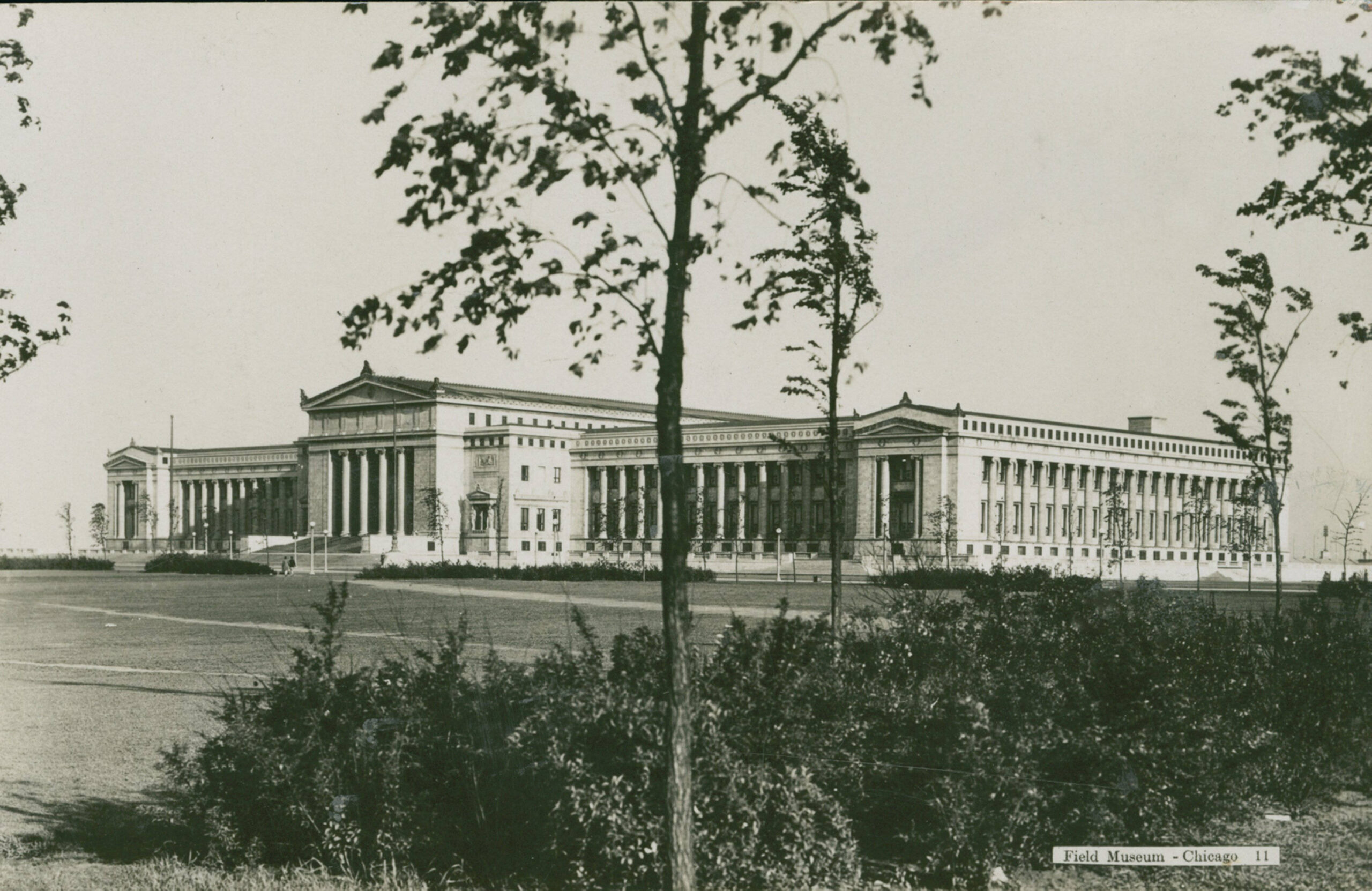 The Field Museum, Chicago, 1940s: its classical stone facade on the Museum Campus