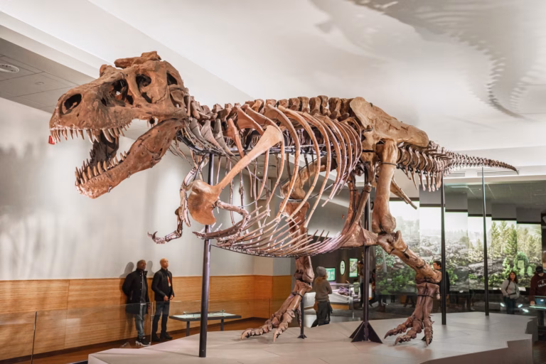 The Field Museum of Natural History, Chicago: Dinosaurs, Mummies, and a Century of Wonder
