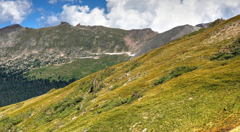A sweeping view of the Rocky Mountain skyline with high altitude tundra.