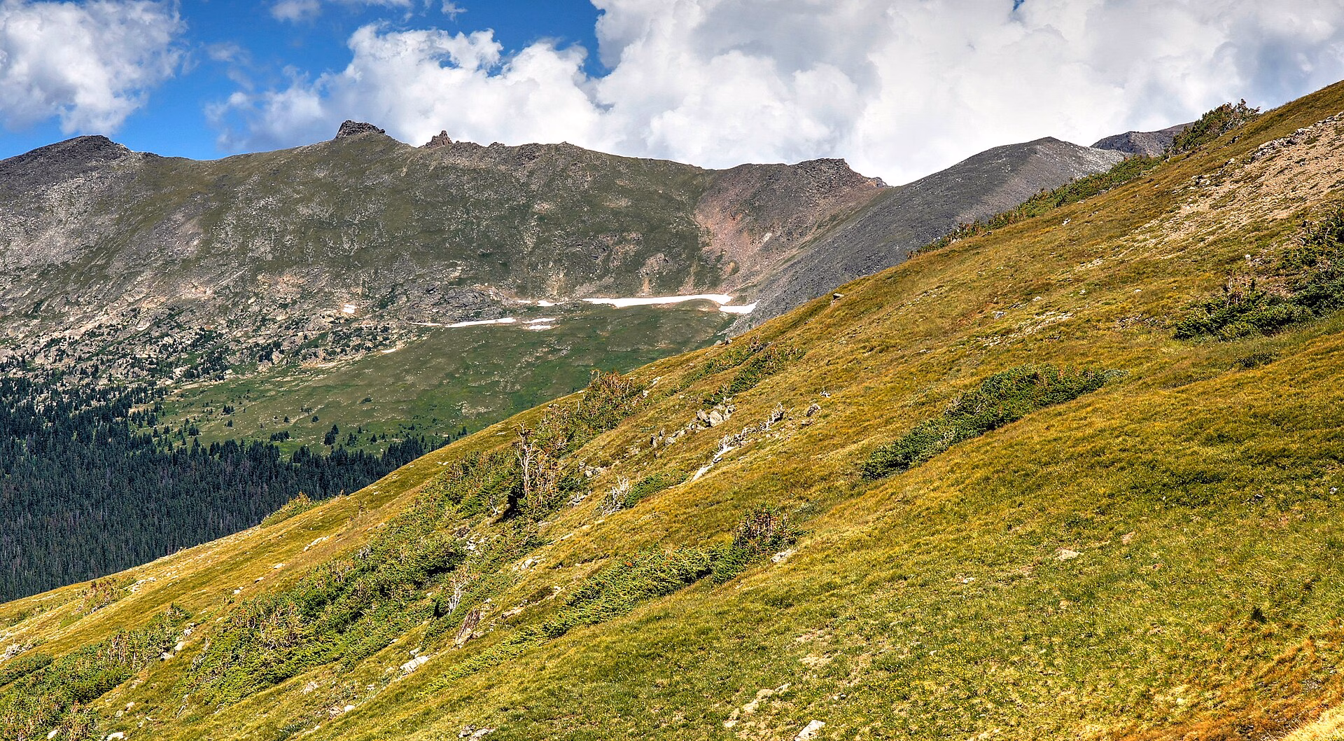 A sweeping view of the Rocky Mountain skyline with high altitude tundra.