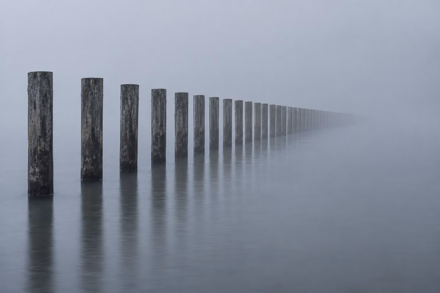 Monochrome photograph of identical weathered wooden pilings receding into lake fog